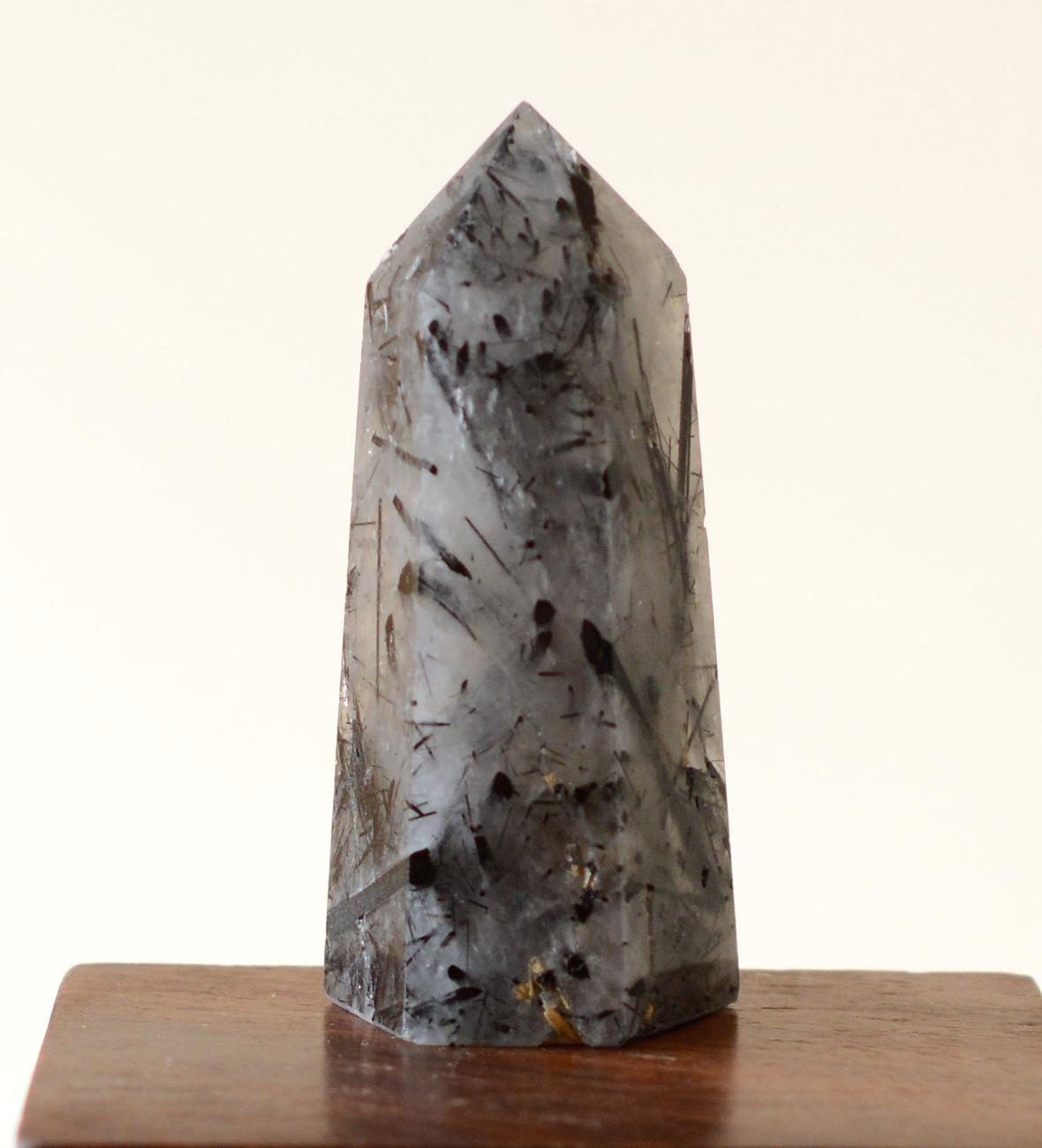 Black Tourmaline in Himalayan Generator Quartz