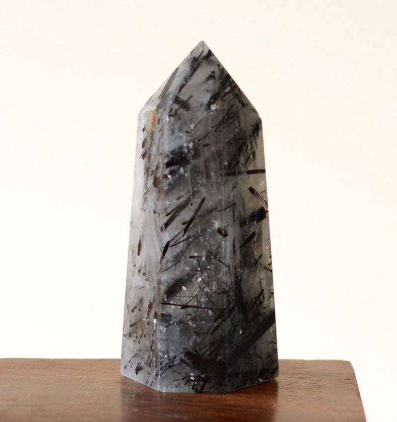 Black Tourmaline in Himalayan Generator Quartz